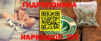 стаф Кулебаки