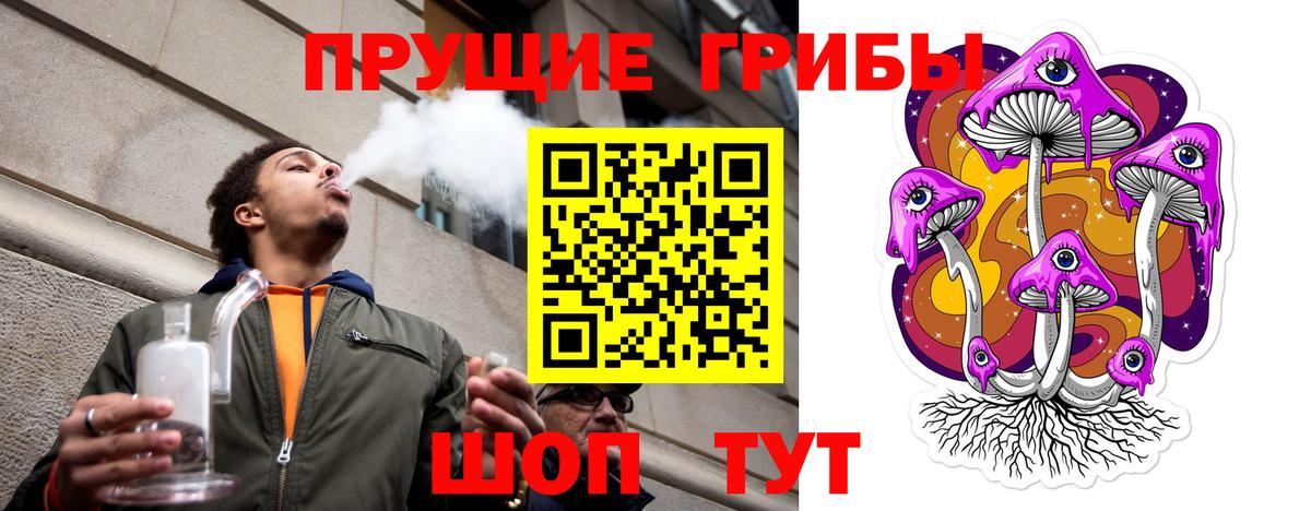 Псилоцибиновые грибы Cubensis Жигулёвск